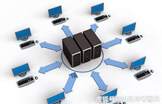 四川自考網(wǎng)絡(luò)工程專業(yè)本科分析與計算機軟硬件及輔助設(shè)備批發(fā)行業(yè)前景